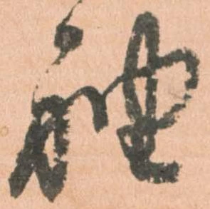 已定位袖