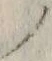 字ノ