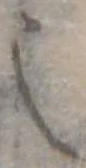 之 위치 확인됨
