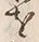 字を