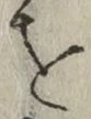 文字 を