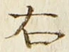 “右”字