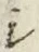 字シ