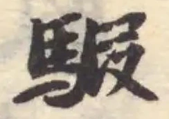 騢 위치 확인됨