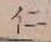 文字仁