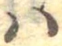 𛂞の位置