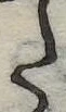 Đã định vị 𛁠