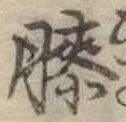 Đã định vị 膝