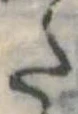 𛁠 위치 확인됨