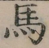 馬 위치 확인됨