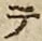 글자 テ
