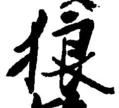 狼 위치 확인됨