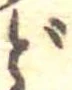 ど 위치 확인됨