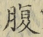 字腹
