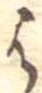 位置 確認된 𛂦