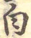 白 위치 확인됨