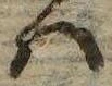 𛂞の位置