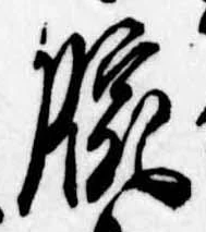 Đã định vị 腕