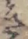 Đã định vị き