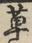 草，已得其位