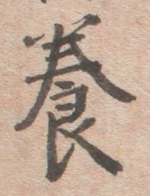 Chữ 養