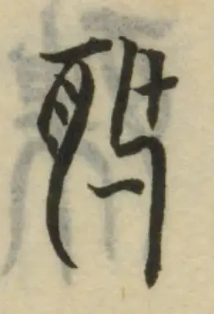 𦕑の位置