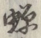 蝉 위치 확인됨
