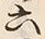 글자 六
