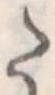 Đã định vị 𛁠