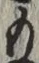文字 も