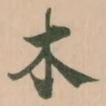 木 위치 확인됨