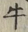 Chữ 牛