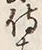 글자 侍