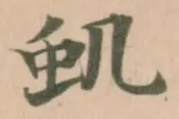 虮 위치 확인됨