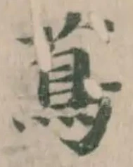 蔦 위치 확인됨