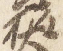 已定位権