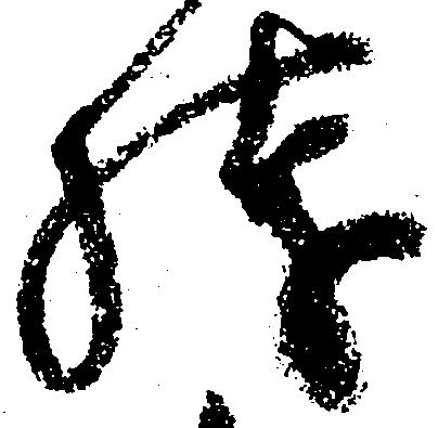 已定位残
