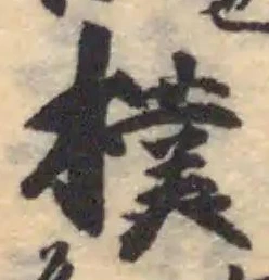 Đã định vị 樸