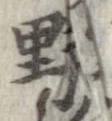 已定位野