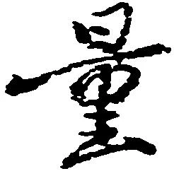 Đã định vị 量