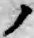 字ノ