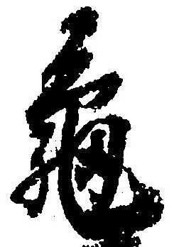 已定位亀