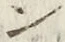 “ン”字
