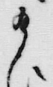 Character 給