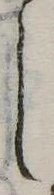 𛁅 위치 확인됨