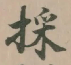 採の位置