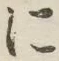字に