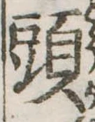 Đã định vị 頭