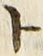 「ト」字