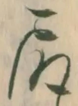 㐌定位尻